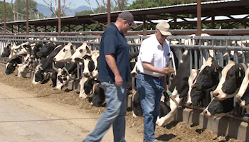 Utah Farm Bureau Concerned & Cautious Regarding Trade Tariffs and Assistance Package