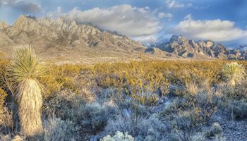 Interior’s Sue and Settle Order Exposes Secret Settlements with Activists