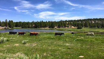 Farm Bureau on Resignation of Secretary of the Interior Ryan Zinke