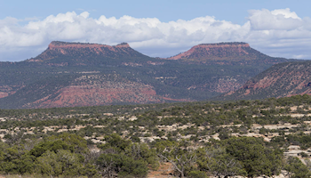 American Farm Bureau, Utah Farm Bureau File Brief Supporting Ranchers’ Access to Public Lands