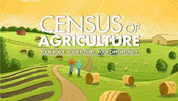 The 2017 census of agriculture, our first take