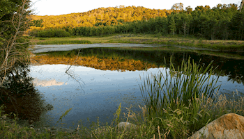 Reminder for applicants to Utah Leopold Conservation Award