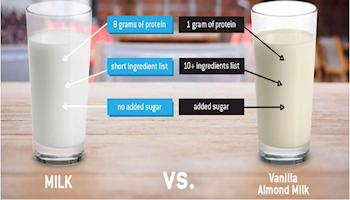 Survey Says: 86% of US Adults Prefer Dairy Milk and Large Margin Want Increased Milk Offerings in School Meals