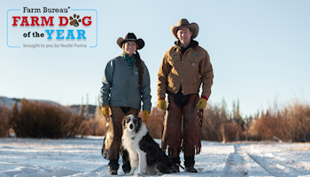 Farm Bureau Farm Dog of the Year Nominations Accepted Until Aug. 20