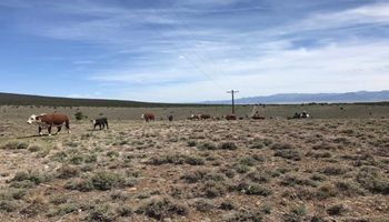 Farm Bureau Survey Shows Drought’s Increasing Toll on Farmers and Ranchers
