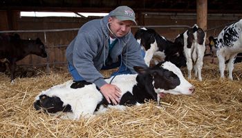 UDAF Announces New State Veterinarian