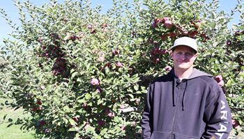 Logan Orchard is Apple Haven for Cache Valley Family