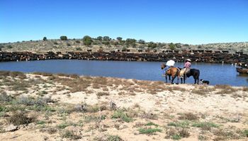 Farm Bureau Member Testimony Warns Congress of WOTUS Overreach Implications