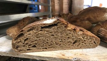 Jump on the Sourdough Baking Craze!