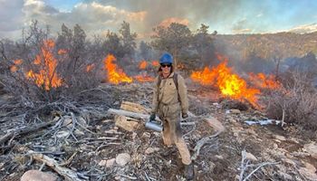 Why Are Pile Burns Common Around Utah this Fall?