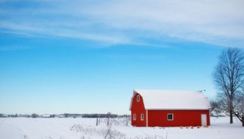 Finding Solutions for Farmers and Ranchers in 2025