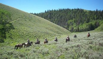 Agriculture and Wildlife Working Together to Enhance Utah’s Wild Places