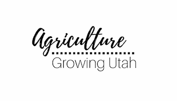 DWR confirms avian flu in wild birds in 3 new counties in Utah during continued outbreak