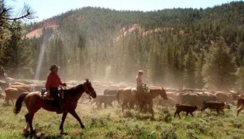USU & IFA Team Up to Host Western Ranch Management Academy
