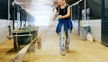 Spring Cleaning: Barns and Outbuildings