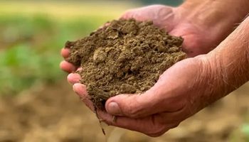 Modern Agriculture Puts Soil Health First