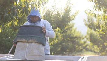 Utah Farm Bureau Member Appears on KSL Radio to Talk Labor Reform