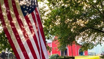 Keeping the Fourth of July Affordable