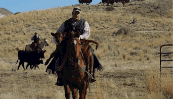 American Farm Bureau Federation Partners with Food and Ag-ISAC on Cybersecurity