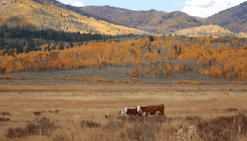 Utah Leopold Conservation Award Finalists Selected 