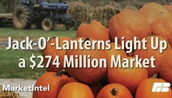 Carving Out a Living: Celebrating America’s Pumpkin Market