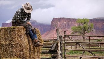 Farm Relief Payments Bring Needed Support, but Gaps Remains