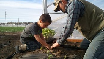 Utah farmers & ranchers invited to share feedback on Utah's food system