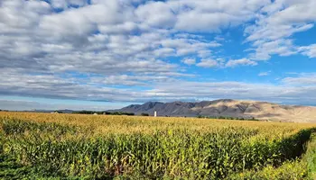 USDA Sets Spring Crop Insurance Prices