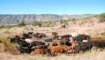 AFBF Analysis Calls Attention to Drought Conditions in Western U.S.