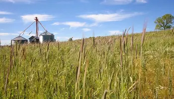 Fertilizer Prices Forcing Tough Decisions