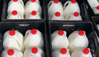 USDA Implements President Trump’s Whole Milk for Healthy Kids Act