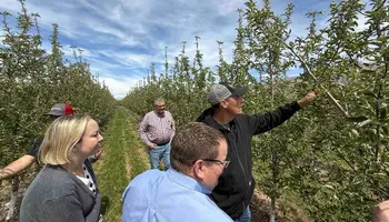 Utah Fruit Farmers Dealt a Cruel Blow by the 2026 Freeze.