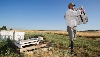 Applications Open for 2027 Veteran Farmer Award of Excellence