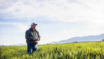 Saving every drop: Inside a dairy farm’s approach to water use