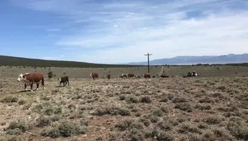 USDA Offers Disaster Assistance to Agricultural Producers in Utah Impacted by Drought and Wildfire