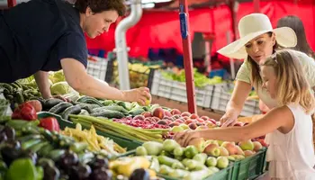 Competing Across the Calendar: The Growing Squeeze on U.S. Produce