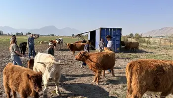 Helping County Assessors Understand Agriculture Beyond the Tax Code