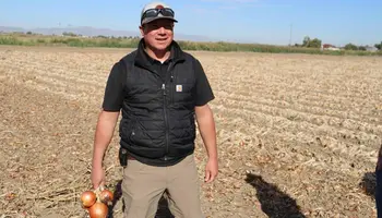 Diesel Prices Remain High as Farmers Ramp Up Harvest