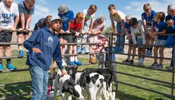 Utah Seeks Local Beef and Tree Fruit Vendors for School Meal Programs