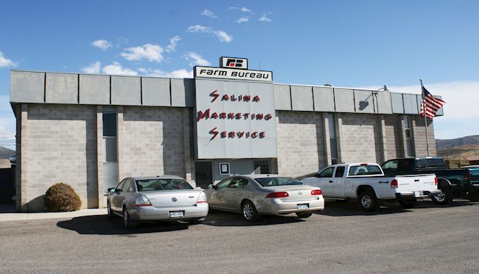 Salina cattle auction celebrates its 50th anniversary, reflecting on past