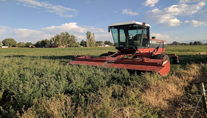 Small farms are still dangerous
