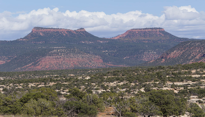 American Farm Bureau, Utah Farm Bureau File Brief Supporting Ranchers’ Access to Public Lands
