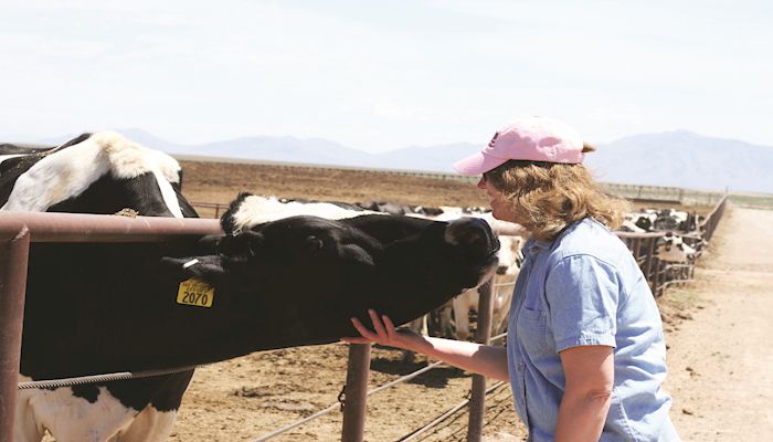 Maria Nye -- "I was NOT going to marry a dairy farmer."