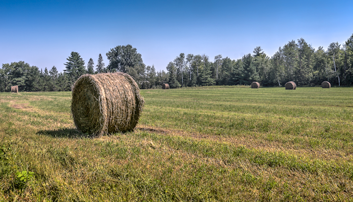 USDA releases planting projections for grains and forage in Utah & U.S.