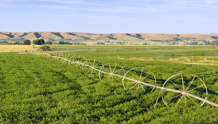 Wheel Line Sprinkler System