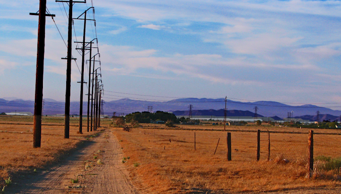 Rural Broadband Will Boost Economy, Improve Sustainability and Animal Welfare, Too, Farm Bureau Tells Congress
