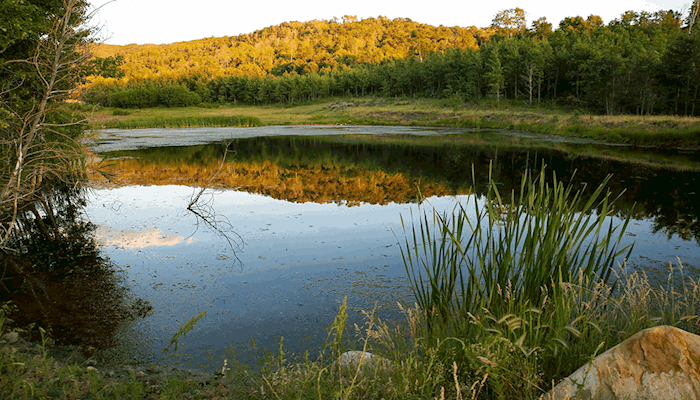 Reminder for applicants to Utah Leopold Conservation Award