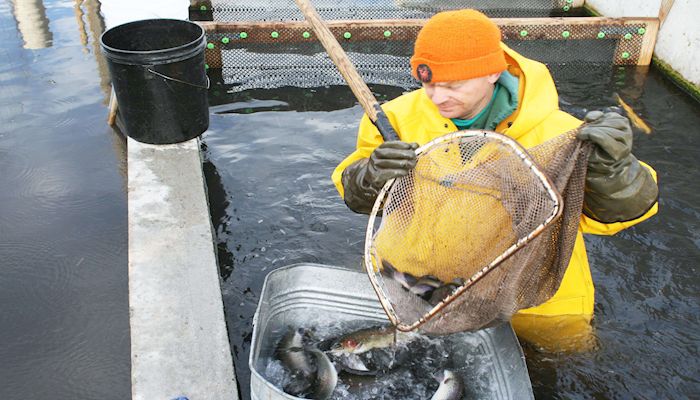 July 18 is National Caviar Day! Did You Know There is Utah Caviar?