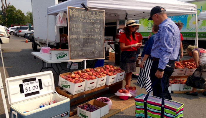Farmers Market Etiquette 
