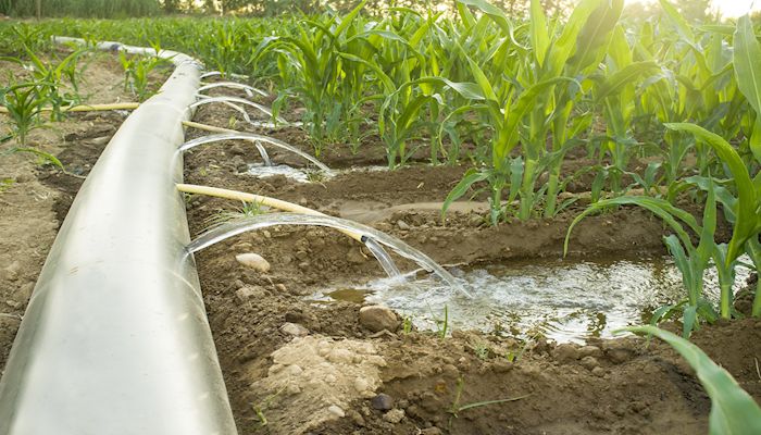 UPDATE Water Banking Draft Legislation